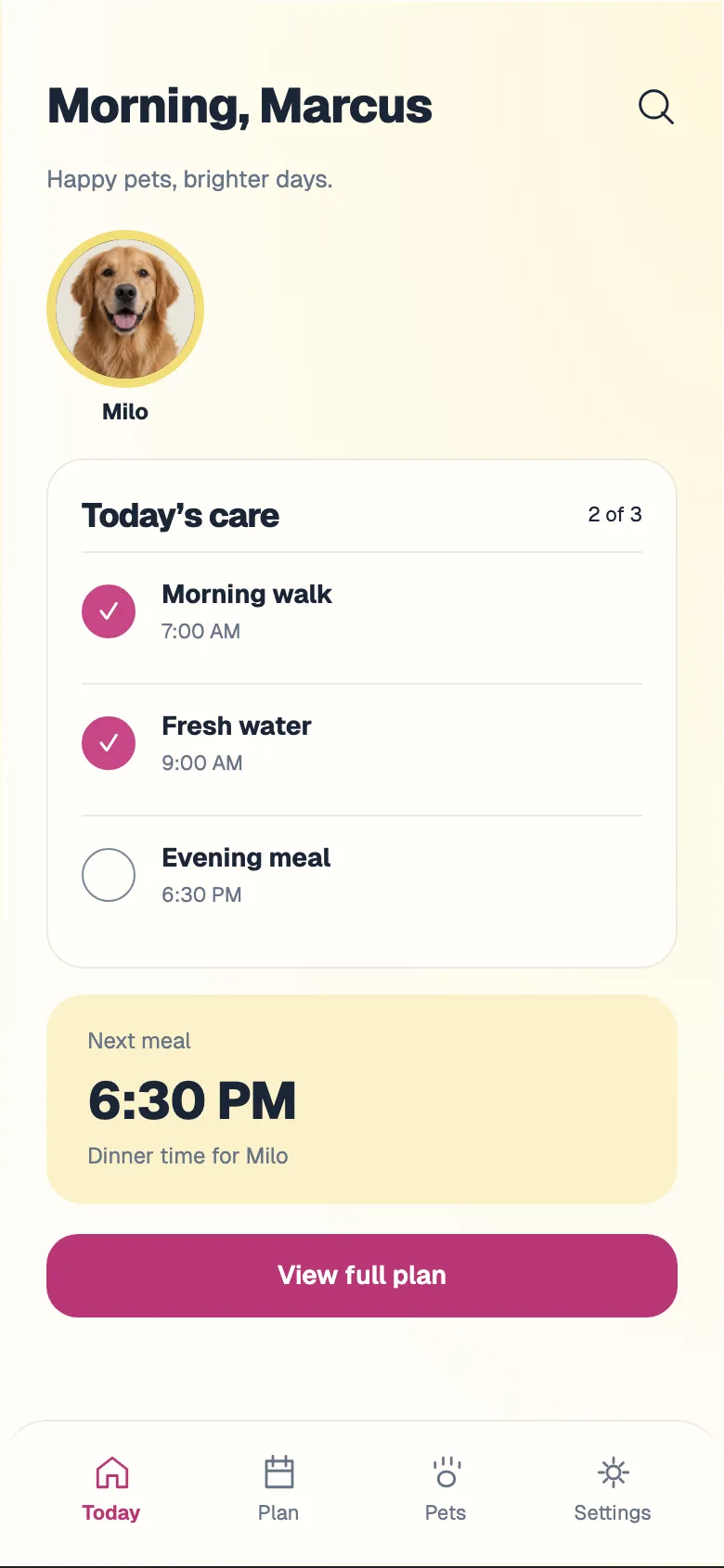 Playful Paws: Today screen